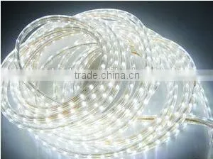 Curly LED Strip Lighting thumbnail-1