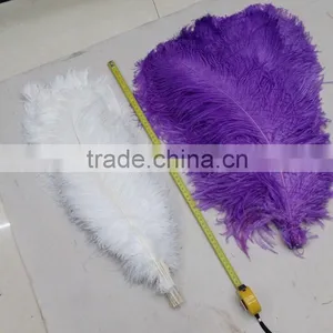 OSTRICH FEATHER FOR WEDDING DECORATION AND WEDDING CENTERPIECES 40cm to 45cm thumbnail-3