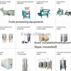Bottle Hot Juice Processing and Filling Line thumbnail-1