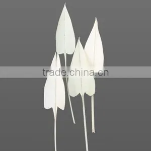 Palm- Arrow- Leaves thumbnail-1