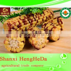 2015 2014 China Supplier Machine Cleaned Yellow Corn thumbnail-6
