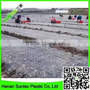 Selling Strawberry Mulch Film/silver Black Mulch Film for Prevention Grass Growth thumbnail-6