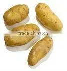 Long Potato thumbnail-1