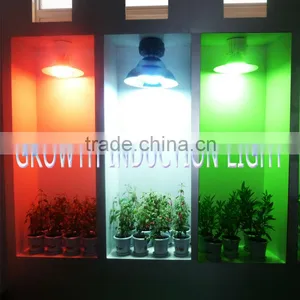 Induction Grow Light 40w-300w thumbnail-1