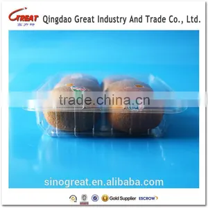 Transparent Pet Plastic Food Packaging Box 500L Quality Choice thumbnail-2