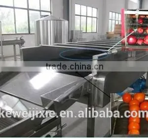 Kiwi Fruit Unhairing Machine/gooseberry Peeling Machine thumbnail-5
