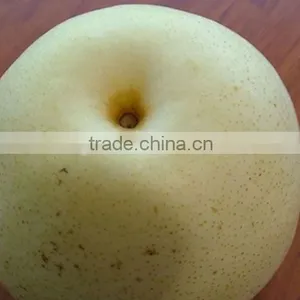 China Pear Low Price Pear,good Qulity Pear,golden Pear thumbnail-1