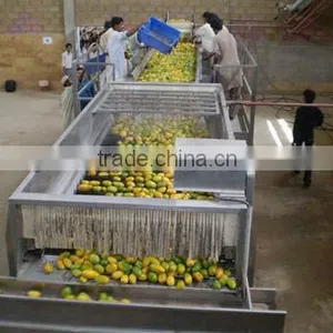 Mango Pineapple Processing Line thumbnail-1