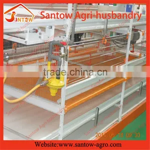 Stable Steel Structure Professional Chicken Egg Layer Cage Chicken Egg Layer House Design thumbnail-4