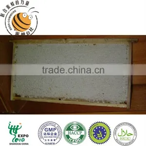 Comb Honey thumbnail-1