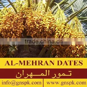 Al-Mehran Aseel Pakistani Dates - Pakistan Origin thumbnail-3