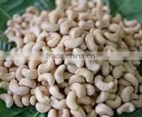 CASHEW KERNEL 320 WHOLE GRADE 01 thumbnail-3