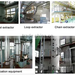Almond Oil Extraction Machine/soya Bean Oil Extraction Machine thumbnail-3