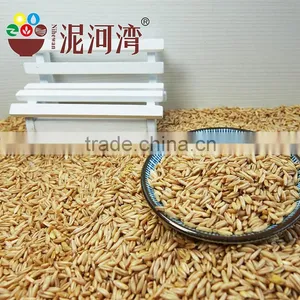 High Quality Chinese Hulled Oats, Naked Oats, Flat Oat Flakes, Rolled Oats Price thumbnail-1