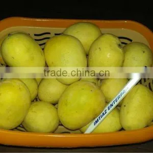 Anwar Ratole Mango thumbnail-1