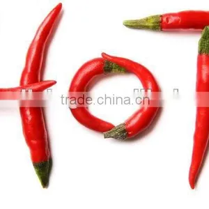 Dry Chilli/dry Hot Chilli thumbnail-1