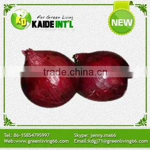 World Best Selling Products Grade A Fresh Onions thumbnail-1