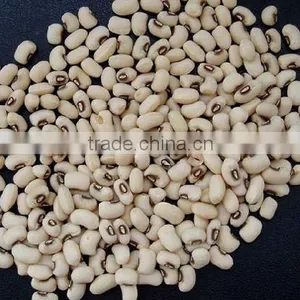 White Kidney Bean Extract /powder thumbnail-1