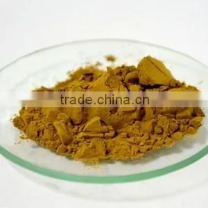 Natural Rosemary Extract 30% Carnosic Acid/Rosemary Extract Powder/Rosemary Powder thumbnail-2
