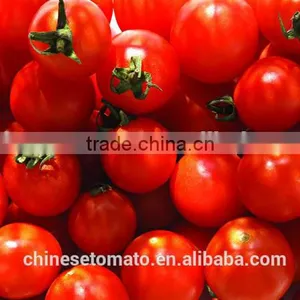70 g Sachet Tomato Paste in Box and Carton Packaging From China Supplier thumbnail-6