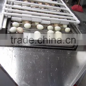 FT-200 High Capacity Boiled Chicken Hen Egg Shelling Breaking Peeling Machine thumbnail-3