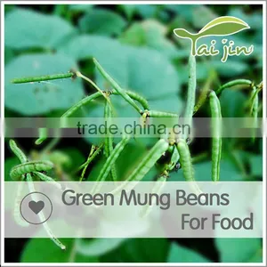 Price for High Quality Mung Beans All Variety Mung Beans thumbnail-3