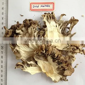 Best Selling Organic Dried Maitake Mushroom thumbnail-5