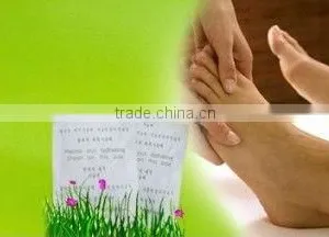 Detox Foot Patches(CE,FDA and ISO Factory Price) thumbnail-1