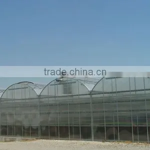 Economical Plastic Covered Greenhouse thumbnail-1