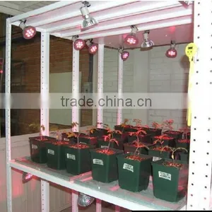 Online Led Lighting Shop Sell Lights Used to Grow Plants That Grow From Bulbs thumbnail-5