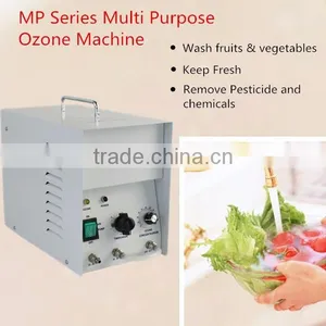 1g/h Ozone Stainless Steel Portable Home Air Water Ozonizer for Fruits and Vegetables Preservation thumbnail-6