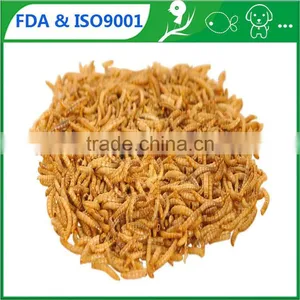 Organic Animal Feed Dried Mealworm Goody Pet Food thumbnail-1