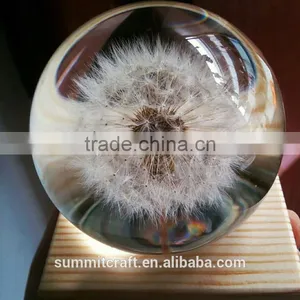 Custom Real Dandelion Paperweight Gift thumbnail-1