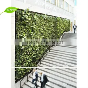 GNW GLW019 Living Wall Diy Vertical Garden Materials Wall System for Outdoor Use thumbnail-1