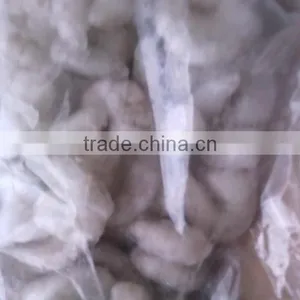 Croaker of Vannamei Shrimp thumbnail-2