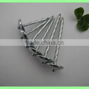 Kenya Umbrella Roofing Nails thumbnail-2