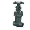 Forged Steel Bellows Sealed Valve thumbnail-1