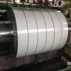 500mm Color Coated Steel Strips/coils for Shutter Door thumbnail-1