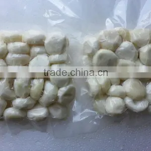 Best Price Frozen Taro Small From Vietnam thumbnail-1