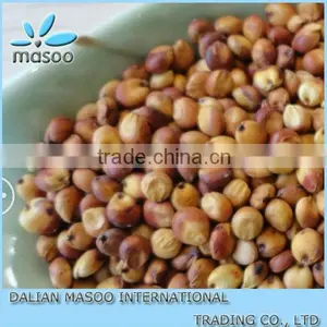 Organic Sorghum 2013 Crop thumbnail-1