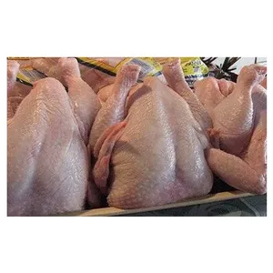 2021 Best Sale A Grade Quality Halal Frozen Chicken Meat thumbnail-4