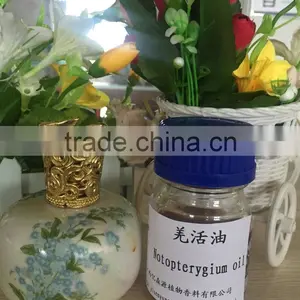 100% Natural Notopterygium Root Essential Oil With High Quality Hot Sale Low Price thumbnail-1