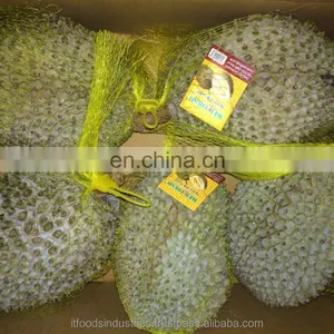 Thailand King Fruit Frozen Durian Whole (Monthong) thumbnail-4