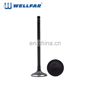 Factory Wholesale Competitive Price 4G13 4G15 Engine Valve Intake thumbnail-4