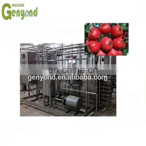 Small Capacity Hawthorn Juice/fresh Fruit Juice Production Line /plant /processing Line /equipment thumbnail-1