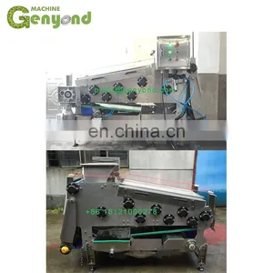 Energy Saving Apple Juice Belt Press / Juicer Machine thumbnail-5