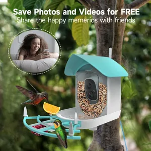 Ringsee 2.4 GHz Wi-Fi Smart Bird Feeder Camera Solar Charging 2.0MP HD Ip65 Weatherproof Network Camera for Outdoor Use thumbnail-2
