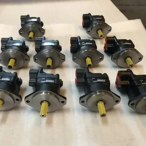 Double Vane Pump F11-SQP21-21-11-1DC-18 Injection Molding Machine F11 Oil Hydraulic Motor thumbnail-5