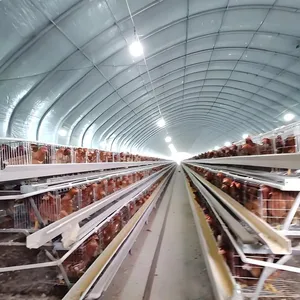 Fully Automatic Meat Chicken Cage thumbnail-2