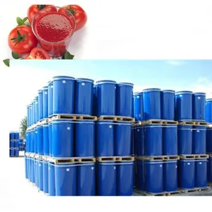 Tomato Paste MVR Evaporator for Concentration Processing thumbnail-4